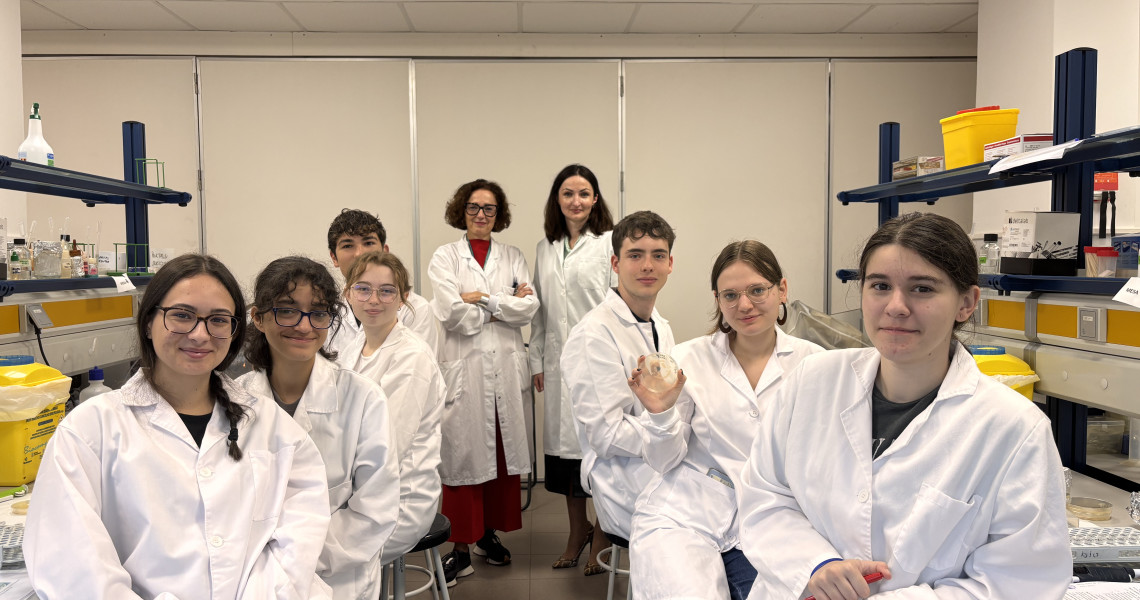 International collaboration: summary of the staff training for teaching at the University in Spain