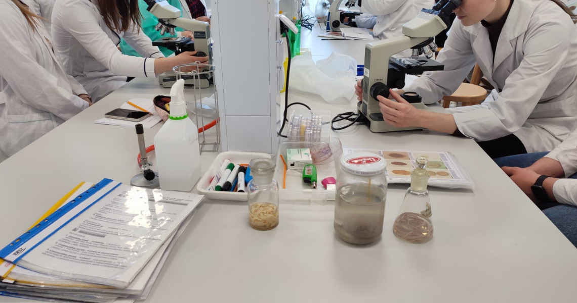 International practical training within the ERASMUS+ academic exchange program at the Medical University of Warsaw: outcomes