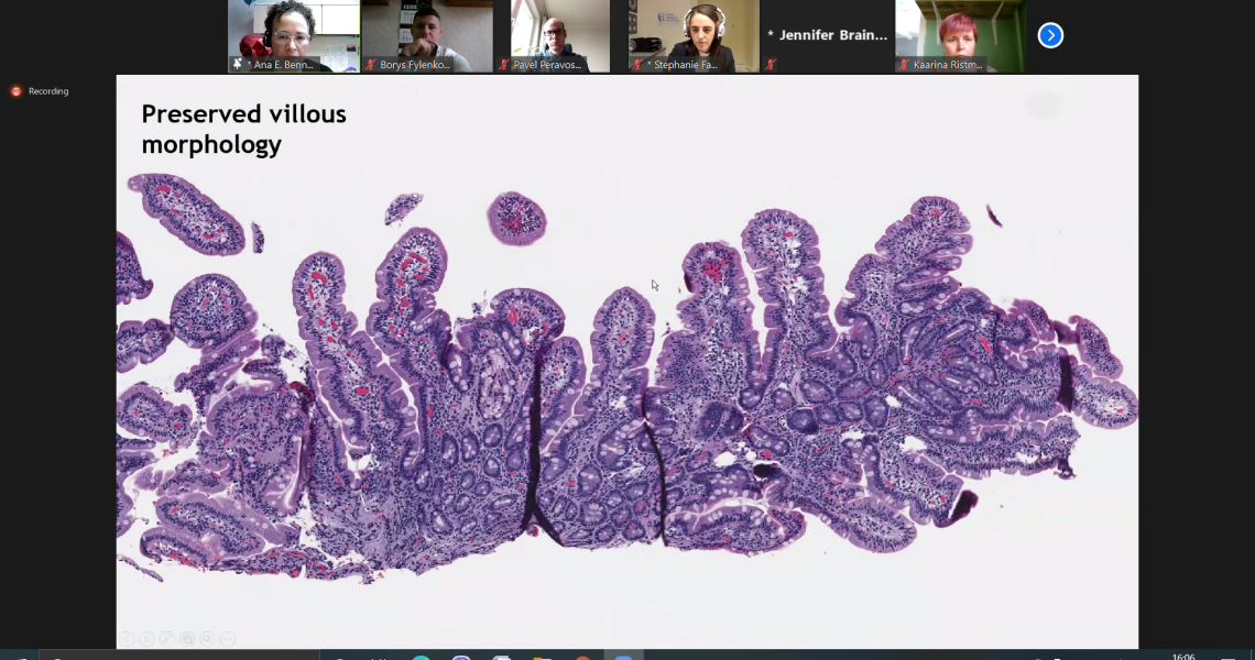 International Online Seminar in Salzburg: PDMU Scientists Share Experience